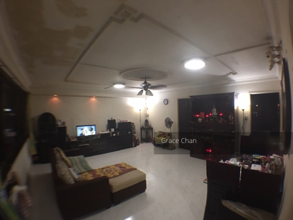 Blk 224 Choa Chu Kang Central (Choa Chu Kang), HDB 5 Rooms #123474912